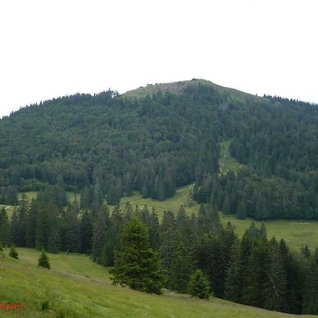 Ferienwohnung Schwarz Todtmoos Zewnętrze zdjęcie
